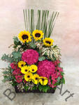 Table arrangement - Deluxe CODE 62969
